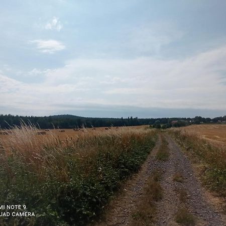 Apartmany Skala Příbram 外观 照片