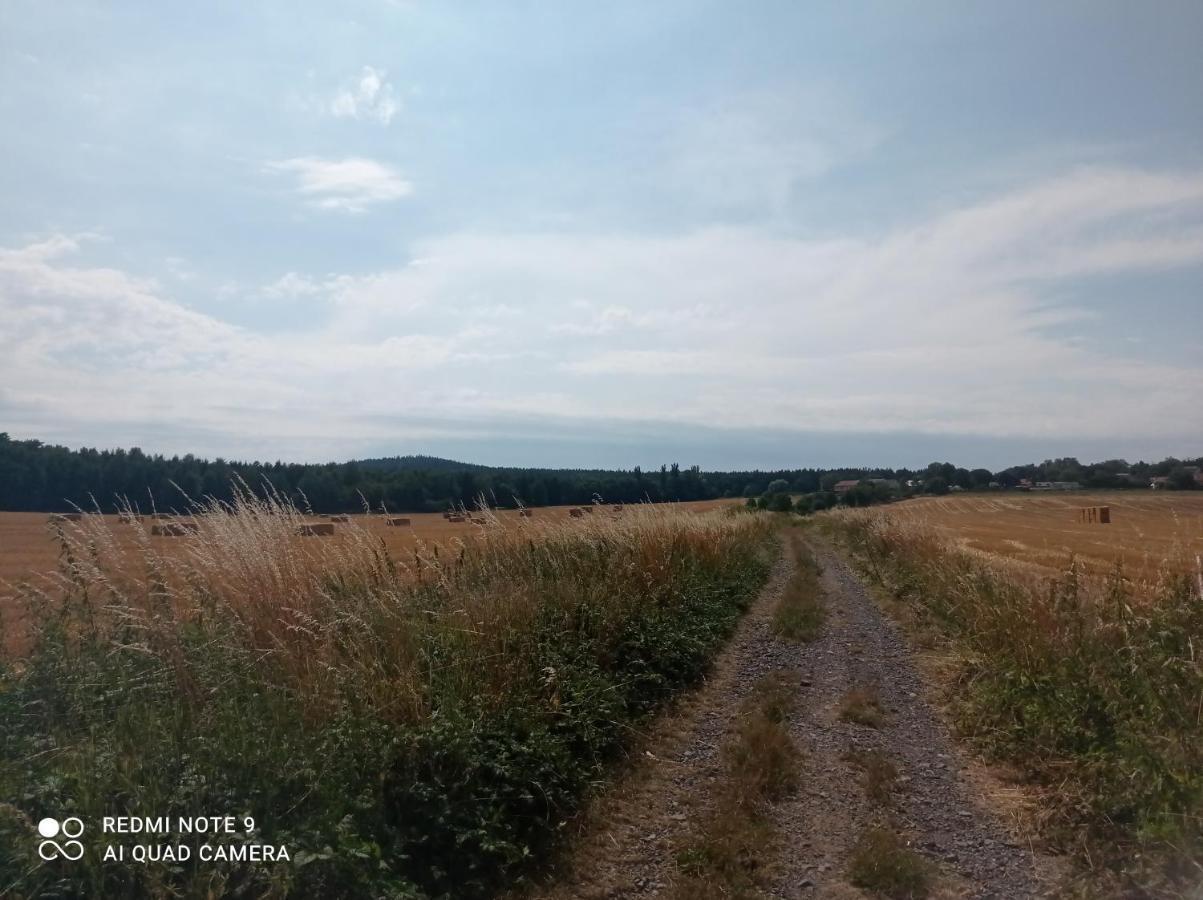 Apartmany Skala Příbram 外观 照片